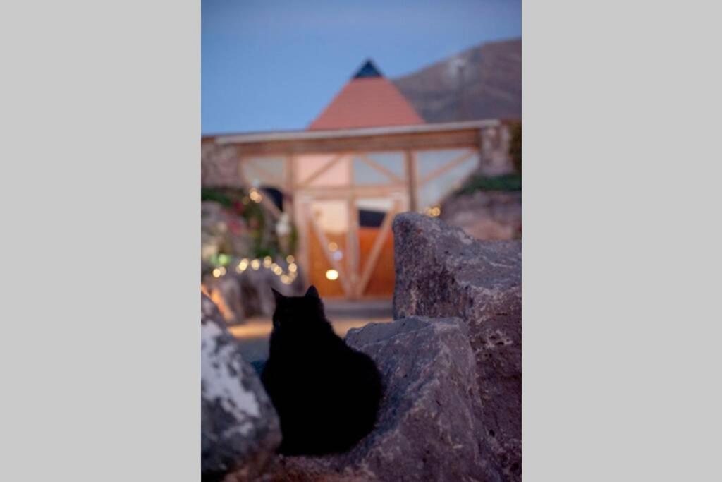 Tranquila Tierra - Eco Retreat Finca Artis Tirma 塔拉哈勒赫 外观 照片